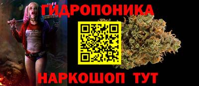 эйфоретик Бердск