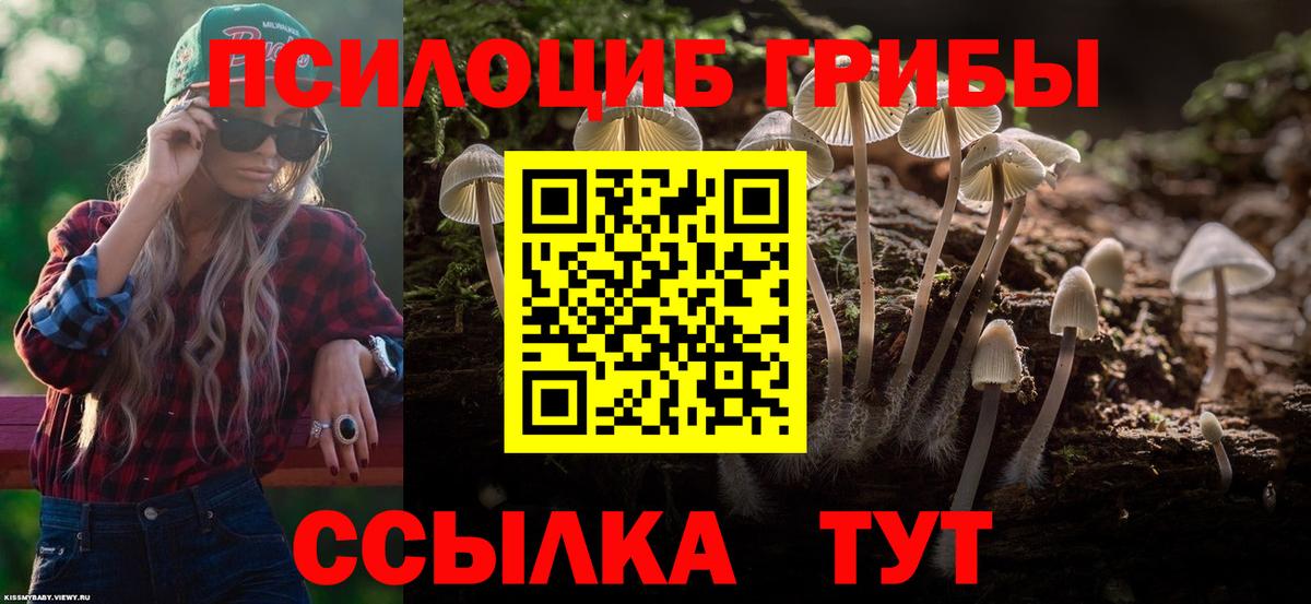 Псилоцибиновые грибы мицелий Сосновоборск