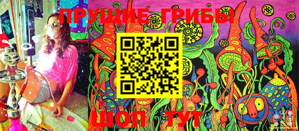 Сосновоборск  Галлюциногенные грибы прущие грибы  Вход с VPN 